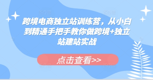 跨境电商独立站训练营，从小白到精通手把手教你做跨境+独立站建站实战网赚项目-副业赚钱-互联网创业-资源整合-私域引流-黑科技软件-引流软件哲客网创