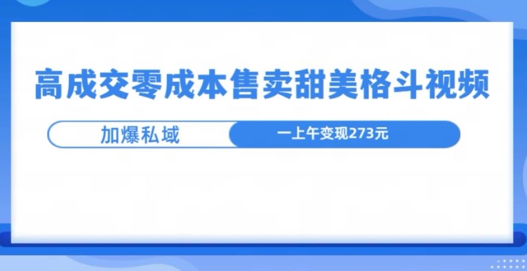 高成交零成本，售卖甜妹格斗视频，可以实现日入过k网赚项目-副业赚钱-互联网创业-资源整合-私域引流-黑科技软件-引流软件哲客网创