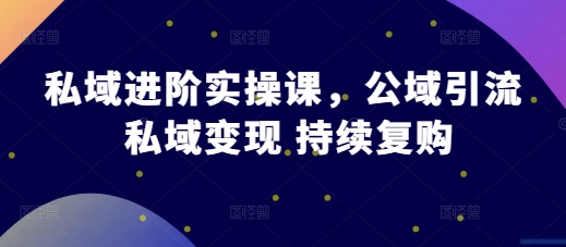 私域进阶实操课，公域引流 私域变现 持续复购网赚项目-副业赚钱-互联网创业-资源整合-私域引流-黑科技软件-引流软件哲客网创