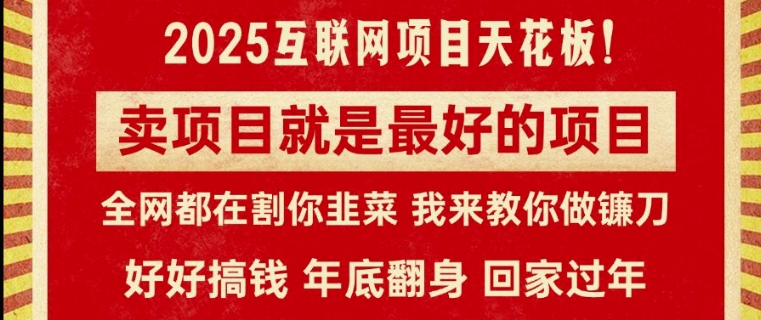 卖项目就是最好的项目，2025年互联网项目天花板网赚项目-副业赚钱-互联网创业-资源整合-私域引流-黑科技软件-引流软件哲客网创