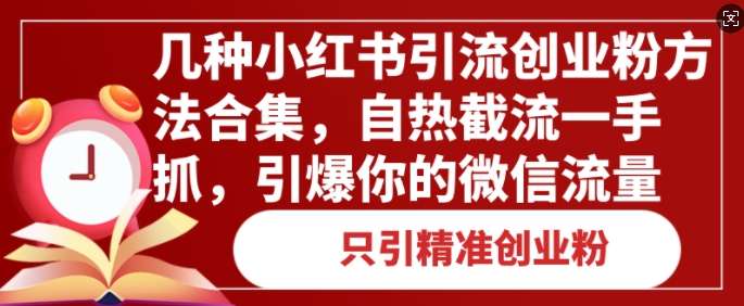 几种小红书引流创业粉方法合集，自热截流一手抓，引爆你的微信流量网赚项目-副业赚钱-互联网创业-资源整合-私域引流-黑科技软件-引流软件哲客网创