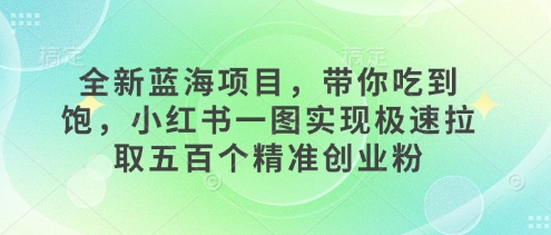 全新蓝海项目，带你吃到饱，小红书一图实现极速拉取五百个精准创业粉网赚项目-副业赚钱-互联网创业-资源整合-私域引流-黑科技软件-引流软件哲客网创