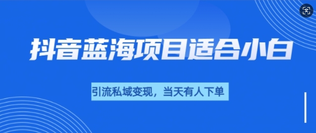 抖音蓝海小赛道私域变现项目，单价9.9单天变现100+，实操玩法分享给你网赚项目-副业赚钱-互联网创业-资源整合-私域引流-黑科技软件-引流软件哲客网创