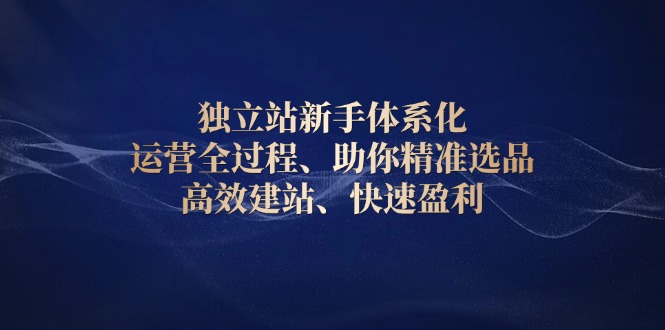 （13914期）独立站新手体系化 运营全过程，助你精准选品、高效建站、快速盈利网赚项目-副业赚钱-互联网创业-资源整合-私域引流-黑科技软件-引流软件哲客网创