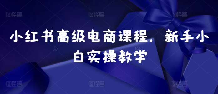 小红书高级电商课程，新手小白实操教学网赚项目-副业赚钱-互联网创业-资源整合-私域引流-黑科技软件-引流软件哲客网创